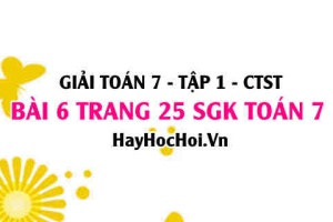 Giải bài 6 trang 25 Toán 7 Tập 1 SGK Chân trời sáng tạo
